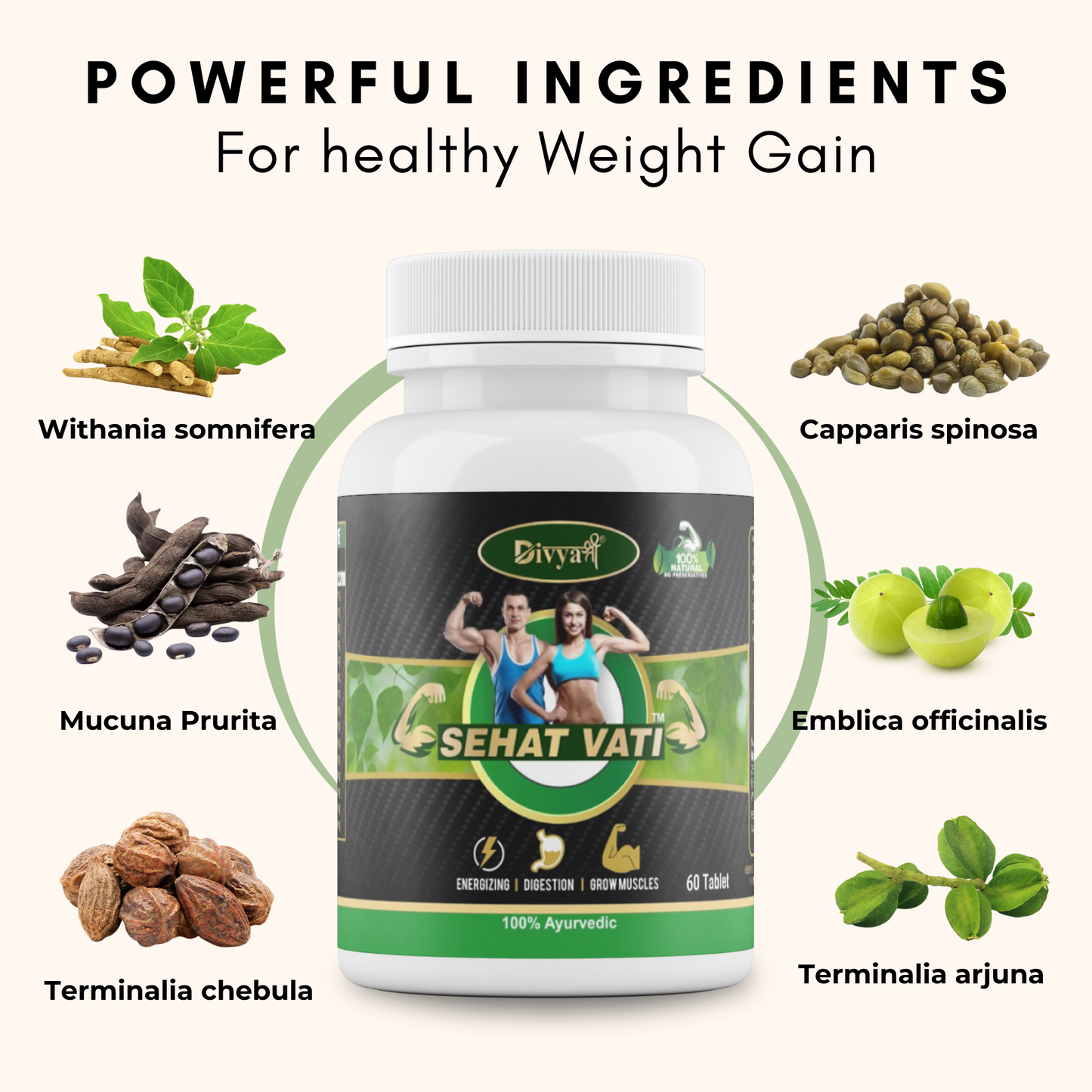 Sehat Vati - Ayurvedic Weight Gain Formula